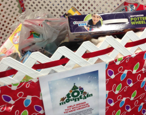 CSD Gives Back: Toy Mountain